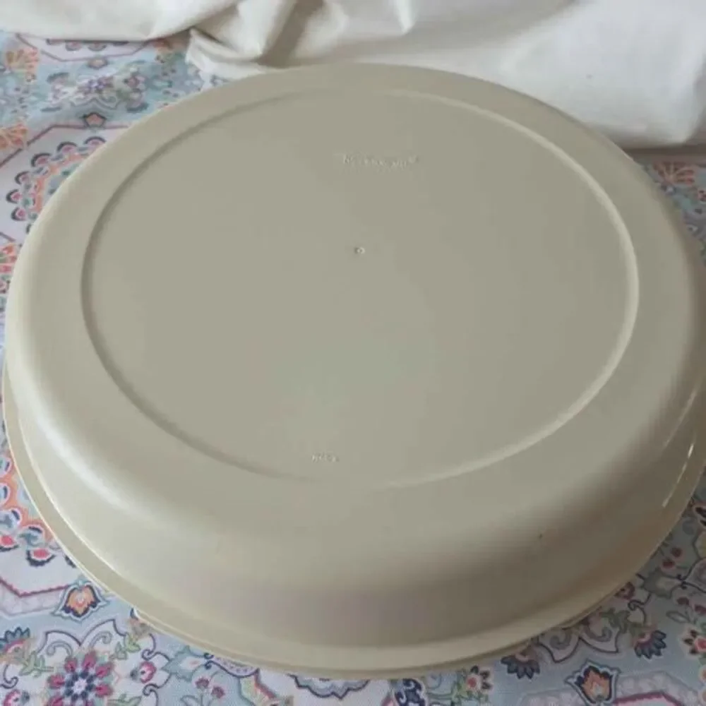Tupperware vintage divided